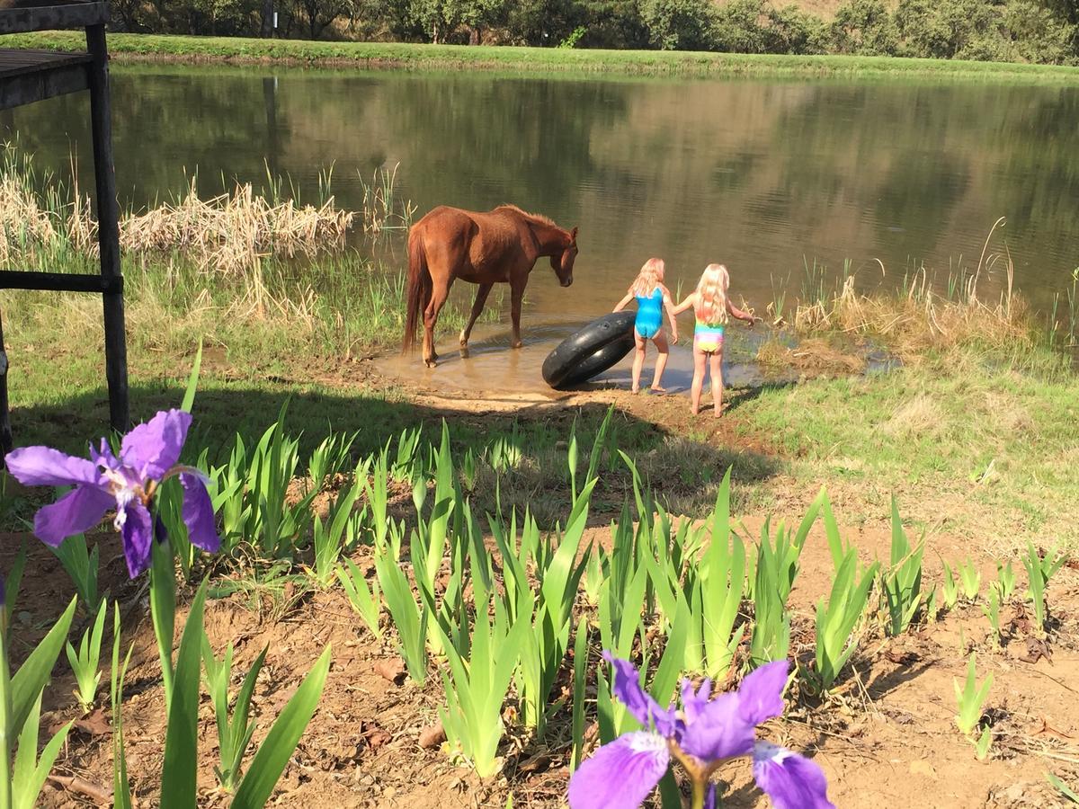 Meadow Lane Country Cottages Underberg Esterno foto